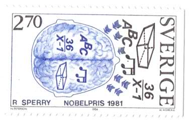 Nobelpreis Roger Sperry Gehirn